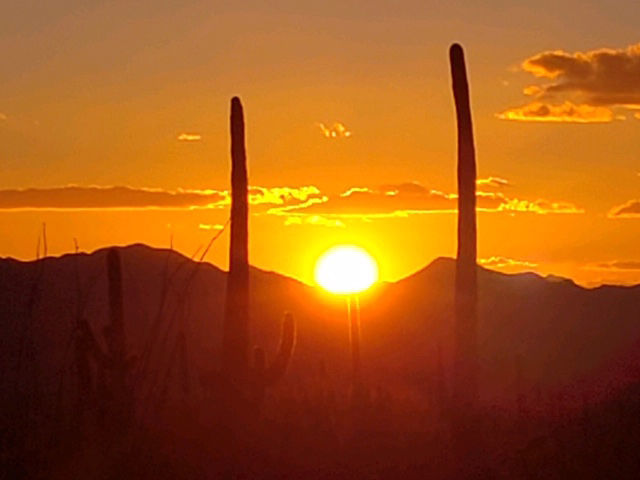 Randall Sengbusch: Arizona goalpost